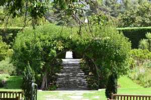 carrick hill 2014 (105)